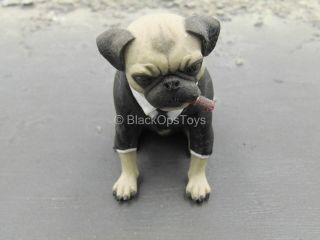 1/6 Scale Toy Men In Black - Agent J - Frank The Pug W/glasses