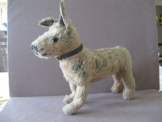 Antique Straw Stuffed 12 1/2 " Dog Looks Like A Cairn Terrier
