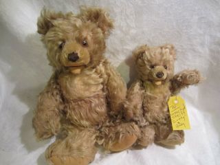 Unmarked Steiff Zotty & Baby Teddy Bear 15 " & 7 " Plush Soft Stuffed Animal