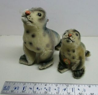 Vintage 1950s/60s Steiff Robby The Seal Pair 7 " & 5 " (1 Tagged)