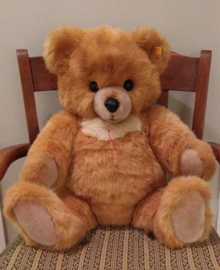 Large Vintage Steiff Plush Molly Bear With Ear Button 0320/65 25 " Germany