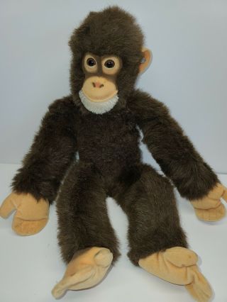 Steiff Jocko Chimpanzee Monkey Brown Plush 15in.  Squeaker Vintage