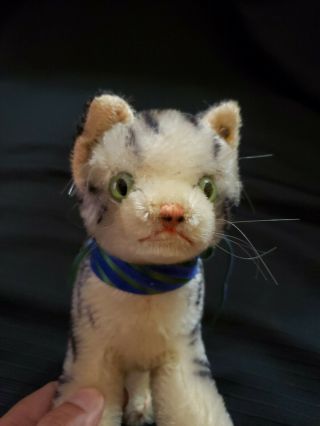 Vintage Steiff Tabby Cat Kitten Mohair 6 1/2 " Ear Button,  No Orig.  Collar