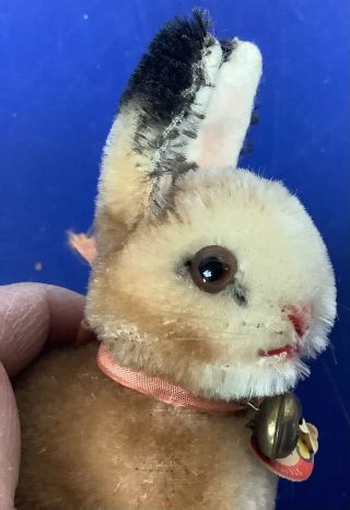Sweet Antique Steiff Mohair Sonny Bunny Rabbit Swivel Head W/ Id 4”
