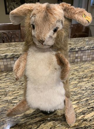 Vintage Steiff Bunny Rabbit Hand Puppet Jolly Hase 3481/40 W/button Vgc