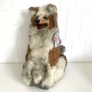 Vintage Rubber Face Lassie Collie Plush Dog Doll Laddie Ideal Toy Corp