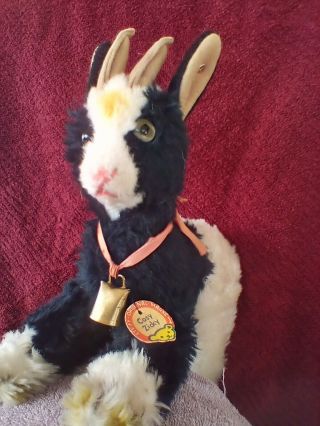 Vintage Steiff German Cosy Zicky Goat 7 " Tall 8 " Long Stored 40,  Years