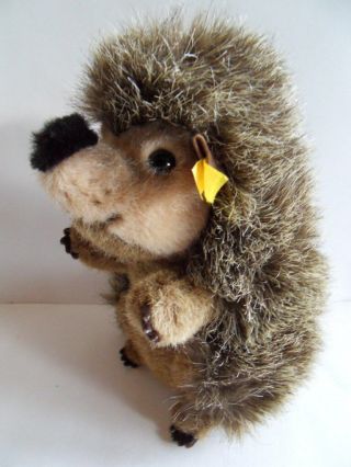 Steiff Porcupine Hedgehog With Button/flag Stuffed Animal Made In Germany 1062