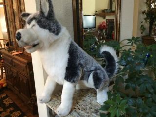 Classic 1998 Large Stuffed Plush Husky Malamute 24 " Tall As Sitting Gray/white