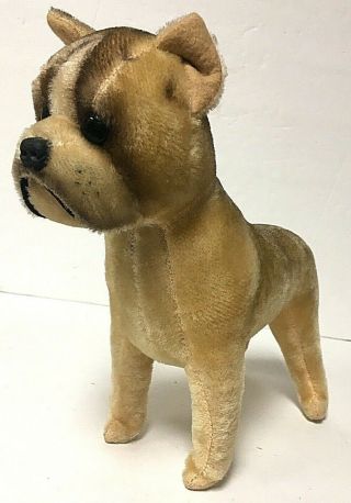 Rare German Vintage Steiff Mohair French Bulldog Plush 9.  5 "