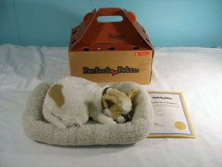 Perfect Petzzz Chihuahua Stuffed Animal With Dog Bed,  2006