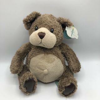 First & Main Chumley Teddy Bear Plush 16 " Stuffed Animal