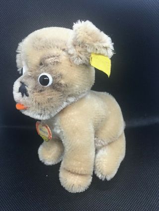 Vintage Steiff 1960s " Mopsy " Dog Puppy Mohair 5 " All Ids W/ Bearhead Ct 3312,  00