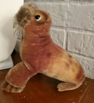 Steiff Mohair Paddy The Walrus Seal,  Id Button Tag 6 " Germany Glass Eyes Tusks