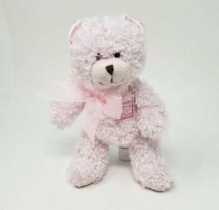 8 " Kids Preferred 2010 Baby Pink My First Teddy Bear Stuffed Animal Plush Toy