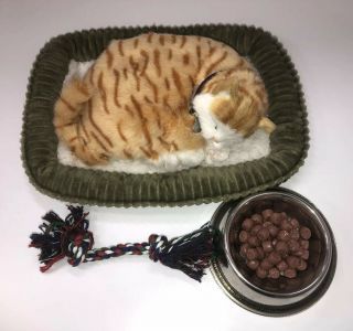 Perfect Petzzz Orange Tabby Cat That Breathes With Bed,  Collar,  & Food