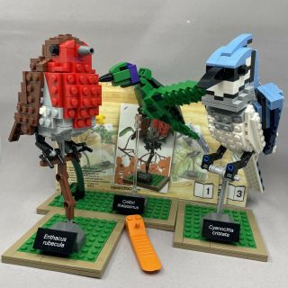 Lego Ideas Birds Set (21301) 100 Complete With Manuals
