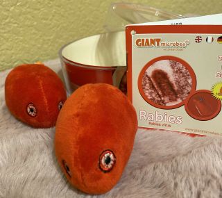 Giant Microbes Minis Rabies In Plastic Petrie Dish Container 3