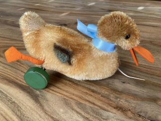 Vintage Steiff EARLY Duck On Wheels Pull Toy - all IDs. 3