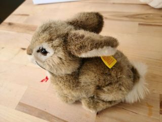 Steiff Dormili Bunny Rabbit Sitting 6 " Plush 2974/16