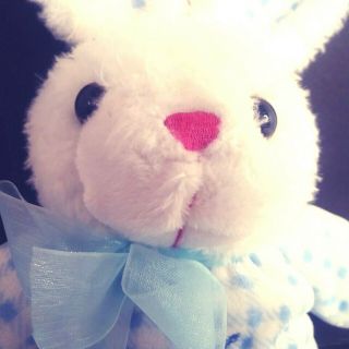 Dan Dee Musical Bunny Rabbit 13 " White Blue Easter Sings " Jesus Loves Me "