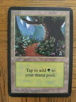 Forest (b Path) Alpha Basic Land Magic The Gathering Mtg Card