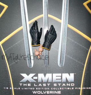 Hot Toys - 1:6 X - Men : The Last Stand " Wolverine " Hands 02
