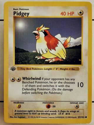 Pidgey - 1999 Pokémon Tcg,  Base Set,  1st Edition