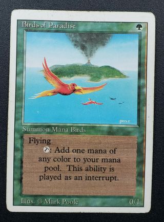 Birds Of Paradise - Revised - Magic The Gathering Mtg - Hp/d