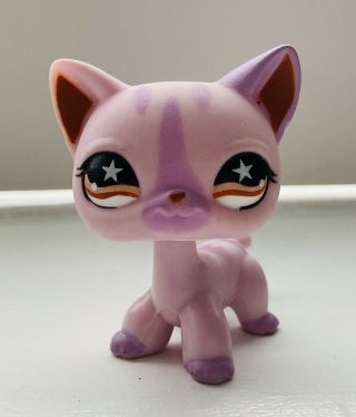 Lps Littlest Pet Shop Rare Authentic 933 Shorthair Cat Kitty Purple Star Eyes