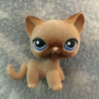 Littlest Pet Shop 318 Brown Fuzzy Siamese Cat Blue Eyes Damage