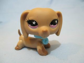Littlest Pet Shop Dog Dachshund 932 With Collar Accessory Lps Authentic
