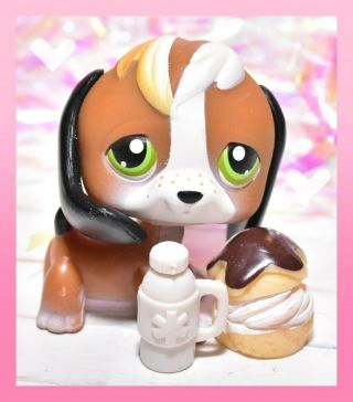 ❤️authentic Littlest Pet Shop Lps 113 Brown White Beagle Puppy Dog Red Magnet❤️