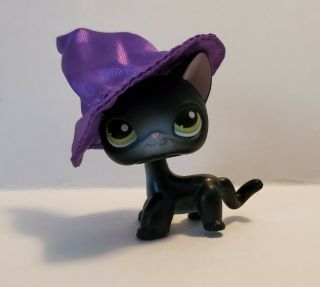 Littlest Pet Lps Black Siamese/shorthair Cat Kitty 336 Green Eyes W/witches Hat