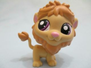Littlest Pet Shop Rare Golden Lion With Purple Eyes 2000 Authentic Lps