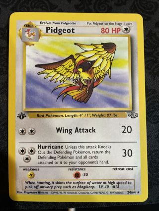 1999 Pokemon Pidgeot 1st Edition Non Holo Jungle 24/64