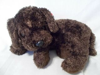 2001 12 " Long Classic Ty Nuzzle The Very Plush Dark Brown Puppy Pre - Owned