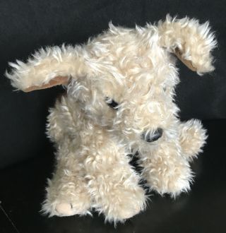 Vintage 1997 Ty Beanie Buddies " Taffy " 10 Inch Plush Stuffed Dog No Tag