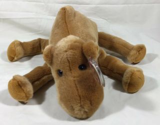 Ty Beanie Baby Humphrey The Camel 3rd Generation 1998 With Tags 10 " Retired