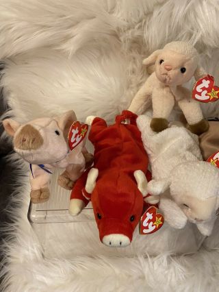 Ty Beanie Babies Farm Set Daisy/Fleecie/Goatee/Derby/Fleece/Ewey/Snort/Knuckles 2