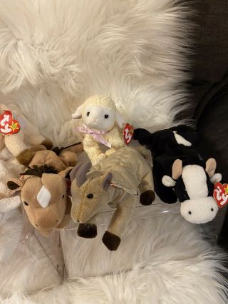 Ty Beanie Babies Farm Set Daisy/Fleecie/Goatee/Derby/Fleece/Ewey/Snort/Knuckles 3