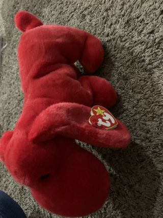 1998 Rover the Red Dog Ty Beanie Buddy Large Plush Animal with Hang Tag Intact 2