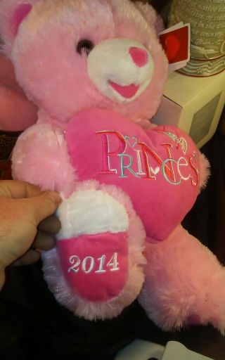 Dan Dee 2014 Teddy Bear Princess Pink White 22 