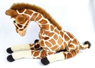 26” Tall Fao Giraffe Plush Toys R 