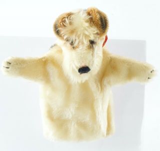 Steiff Foxy The Fox Terrier Dog Hand Puppet 9” Ca 1960s Vintage No Button