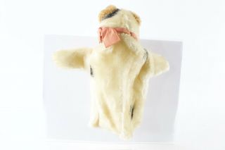 Steiff Foxy The Fox Terrier Dog Hand Puppet 9” ca 1960s Vintage NO BUTTON 2