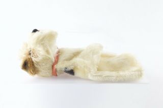 Steiff Foxy The Fox Terrier Dog Hand Puppet 9” ca 1960s Vintage NO BUTTON 3