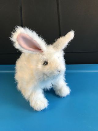 Furreal Friends Hop - N - Cuddle Electronic Bunny Rabbit White Plush Frf Hasbro Euc