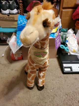 Euc - 18” 2000 Geoffrey The Giraffe Toys R Us Talking Large Plush Stuffed Animal
