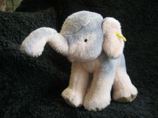Rare 1956/78 German Steiff Elephant W.  Button & Tag Cosy Trampy
